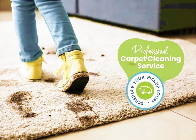 CLEANFAX-LAUNDRY-AND-DRYCLEANERS