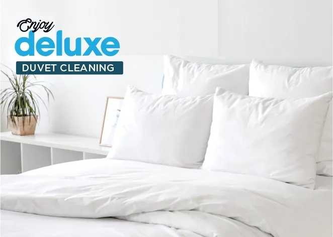 CLEANFAX-LAUNDRY-AND-DRYCLEANERS