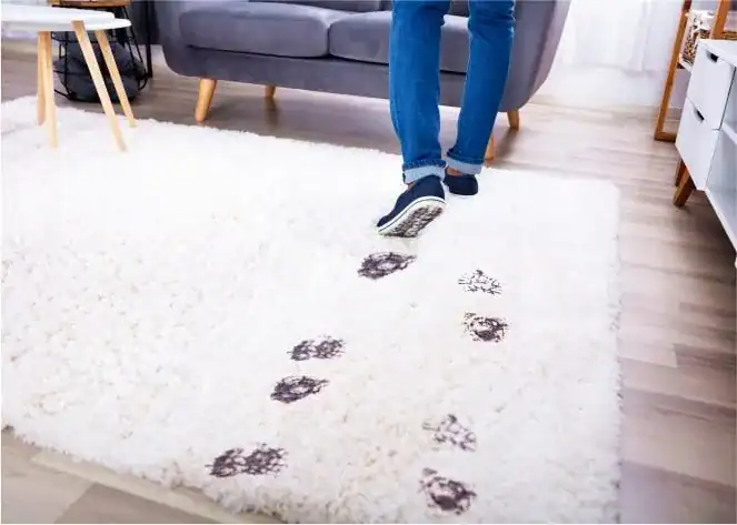 BEST-DRY-CLEANERS-IN-NAIROBI-KENYA