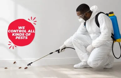 CLEANFAX-LAUNDRY-FUMIGATION-SERVICES-IN-NAIROBI