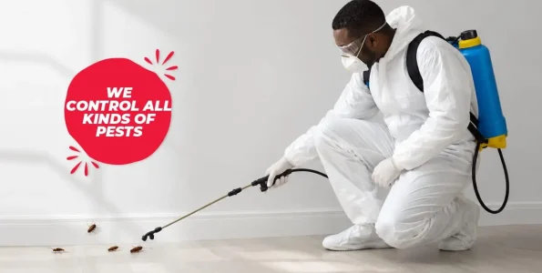 CLEANFAX-LAUNDRY-FUMIGATION-SERVICES-IN-NAIROBI