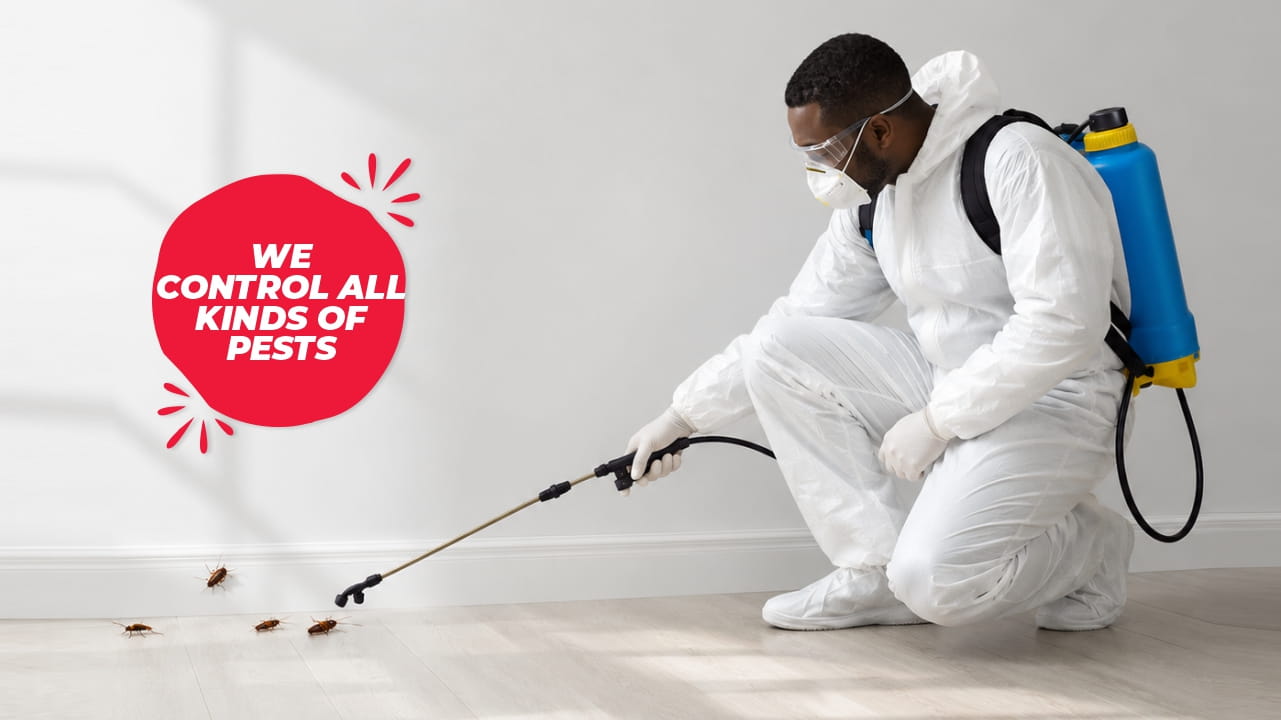 FUMIGATION SERVICES NAIROBI