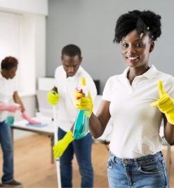 CLEANFAX LAUNDRY SERVICES HOME CLEANING